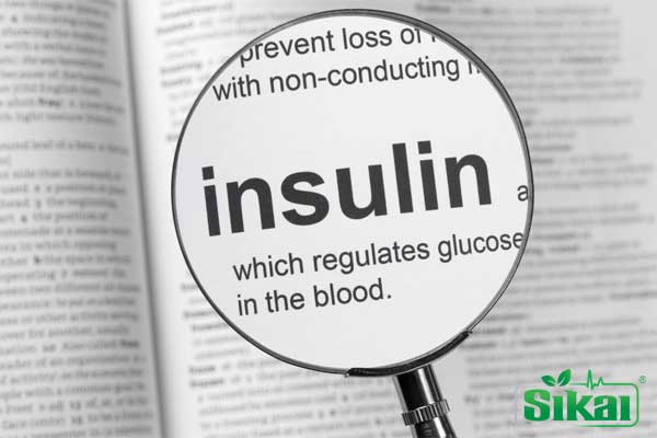 insulin là gì